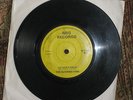 THE ALTERNATORS NO ANSWERS RARE SCOTTISH DIY INDIE PUNK KBD NRG
