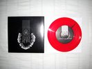 This Will Destroy You 7