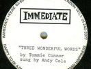 ANDY COLE*THREE WONDERFUL WORDS*IMMEDIATE SINGLE SIDED ACETATE