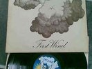 ricotti & albuquerque  first wind original 1970s pegasus prog jazz vynil lp rare
