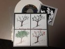 MAD SEASON  Record 7