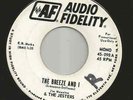 SURF INSTROS--JIM MESSINA & JESTERS--TWO SIDER--HEAR BOTH--PROMO AUDIO FIDELITY