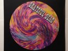 GRATEFUL DEAD Live 1971 Picture Disc Tie-Dye LP Special Italian Import Fillmore