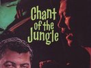 Augie Colon Chant of the Jungle Rare 1960 Liberty Stereo LP Near Mint Exotica
