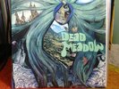 DEAD MEADOW S/T first LP super rare stoner psych w/insert AND poster