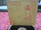Ash Ra Tempel - Schwingungen - Krautrock - rar 