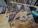 NUCLEUS IAN CARR ALLEYCAT 1975 MINT UK 1ST VERTIGO RARE