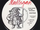 NIGHTBUS Face Down In The Meadow RARE IRISH powerpop 7
