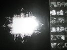 Doppel Vinyl LP Tool ?– Ænima Aenima Deftones Amplifier Porcupine Tree NIN