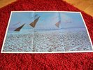 Pink Floyd - Dark Side of The Moon Poster Signed by all the band