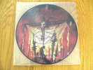 Picture LP Desaster Hellfire`s Dominion