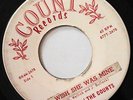 HEAR IT David and the Counts 45 Wish She Was Mine 1965 GARAGE PEBBLES EX NUGGETS
