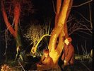 Echo And The Bunnymen - Crocodiles Lp 180g Reissue Red Vinyl RSD New 2013