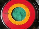 THE TARTANS Sunshine POP PSYCH 45 