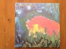 Meat Puppets II LP SST Punk KBD HC Hardcore indie original 1984 80s US
