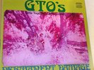THE G.T.O's PERMANENT DAMAGE Straight Zappa MINT Beck lp Groupies lp PSYCH Rare