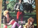 Jimi Hendrix Eperience  Fire Swingin Pig Grün