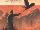 CRIPPLED BLACK PHOENIX - A LOVE OF SHARED DISASTERS - X2 LP