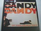 Jesus And The Mary Chain - Psycho Candy Splatter Vinyl LP Record Store Day NEW