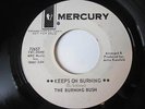The Burning Bush - Keeps on Burning / Evil Eye