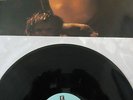 BABES IN TOYLAND   Fontanelle   VINYL LP