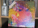 EX- The Litter -$100 Fine - Hexagon Records 1st Press COVER ONLY Psych Garage