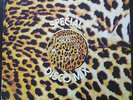 Walter Murphy / Charo - Fifth of Beethoven / La Salsa - PROMO 12