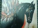 Circa Survive Blue Sky Noise Limited Edition Vinyl Rare OOP