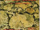 TYPICAL COMBO GEORGES PLONQUITTE zoumba la FRENCH WEST INDIES RARE  7