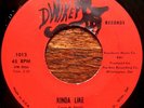PUMP -  KINDA LIKE b/w PAPPY'S RUG PSYCH FUNK ROCK Dwikey Records 45 SOUL 7