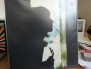 Paul Weller - Wild Wood - 1993 - 12 inch vinyl LP Gatefold + Poster