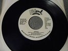 Skip Mahoney Janice rare modern xover promo 45 on Salsoul