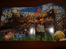 JELLYFISH BELLY BUTTON RARE PROMO FOLD OUT COVER 1ST PRESS OUTSTANDING NM-- NR