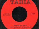 MICHIGAN SOUL/GARAGE 45: IV ROYALS/S. McKAY (Stooges) Super Rare Private HEAR