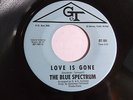 THE BLUE SPECTRUM / RARE PRIVATE GARAGE / PSYCH 45 / FUZZ GUITARS / G&T 101/NICE
