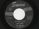 HOT ROCK & ROLL INSTRUMENTAL-LINK WRAY-SWAN 4244-BATMAN THEME/ALONE-LISTEN