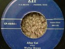 Walter Brown and His Band ROCKABILLY 45 Alley Cat/Jelly Roll Rock ZIP HEAR BB142