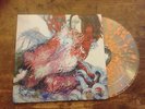 Thee Oh Sees? – Warm Slime LP - Clear / Orange Splatter Vinyl Garage In the Red