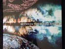 Between the Buried and Me 