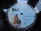 *PINK FLOYD - ANIMALS. UK 1977 VERY 1ST 2U/2U PRESSING SHVL 815 IN NM CONDITION*