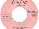 DUSTERS 	CUPID 5003 	ROCK AT THE HOP 	M- WOL 	$120.00
