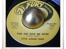 Little Junior Lewis Can She Give Me Fever R&B SOUL MOD HEAR 45