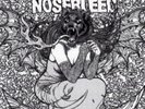 Agoraphobic Nosebleed/Insect Warfare 
