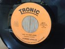 Laurene LaVallis sweet modern soul 45 Love Don't Change/Key To Our Love Tronic