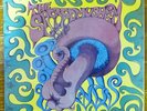 US PSYCHE LP   THE SACRED MUSHROOM   Yellow Vinyl No akarma