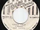 Jah Lloyd - Ganja Crop - WICKED