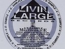 4-X-SAMPLE Meltin Da Ice LIVIN LARGE 12