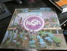 LUSH - LOVELIFE - SEALED CLEAR VINYL LP - RARE INDIE / SHOEGAZING. JARVIS/PULP