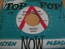 THE BEATLES - PLEASE PLEASE ME - RARE REPRO 7