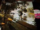 SILAS HOGAN/WHISPERING SMITH/ EDWARDS/ARTHUR KELLEY/HENY GRAY : SWAMP BLUES 2LP